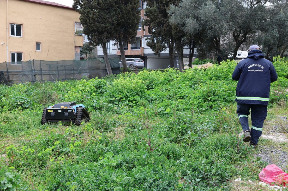 Körfez’in ot biçme robotları iş başı yaptı