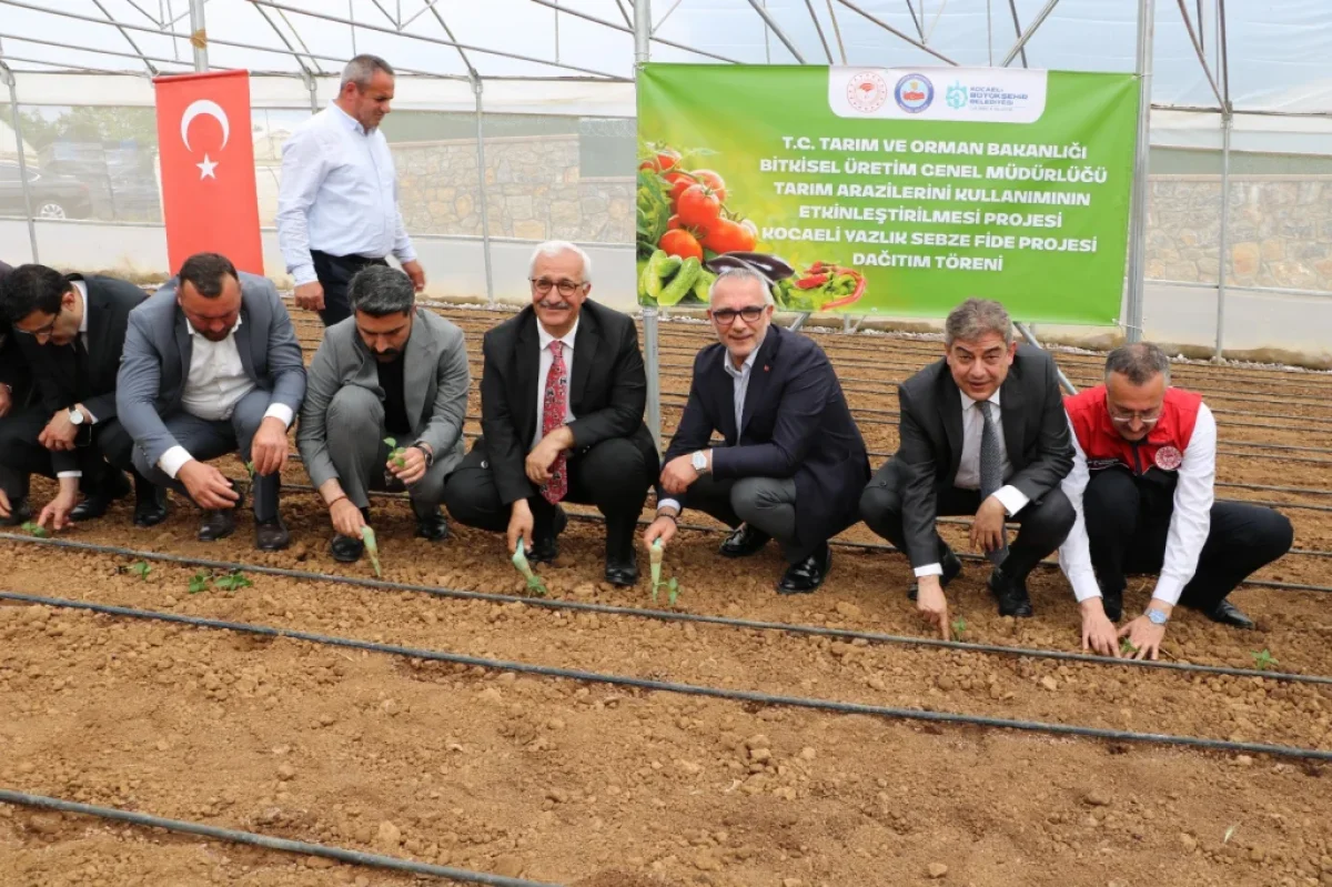 Kocaeli çiftçisine 500 bin fide desteği