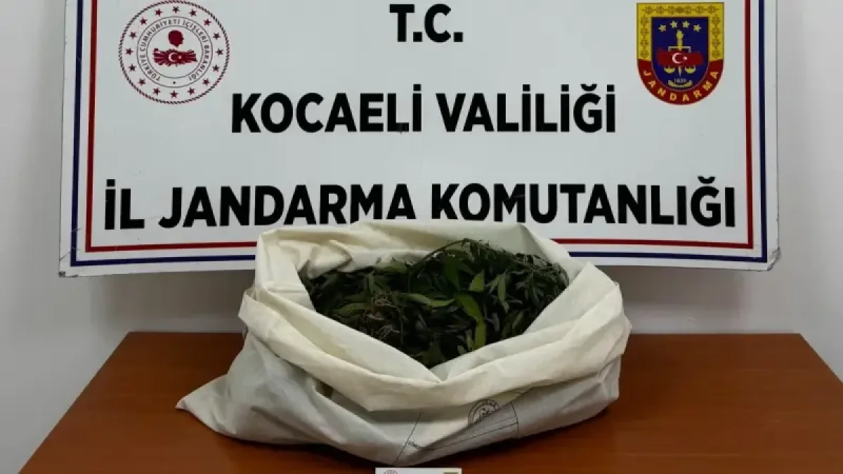 Kocaeli’de uyuşturucu operasyonunda 7 gözaltı!