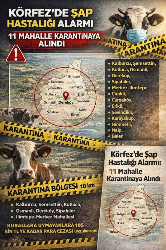 Körfez’de Şap Hastalığı Alarmı: 11 Mahalle Karantinaya Alındı